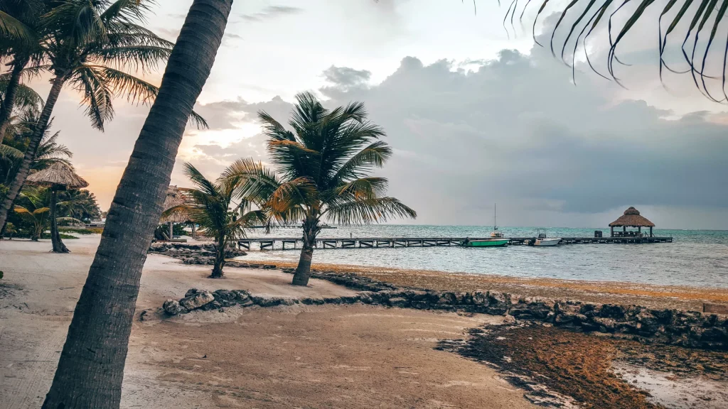 A guide to applying for a forex license in Belize