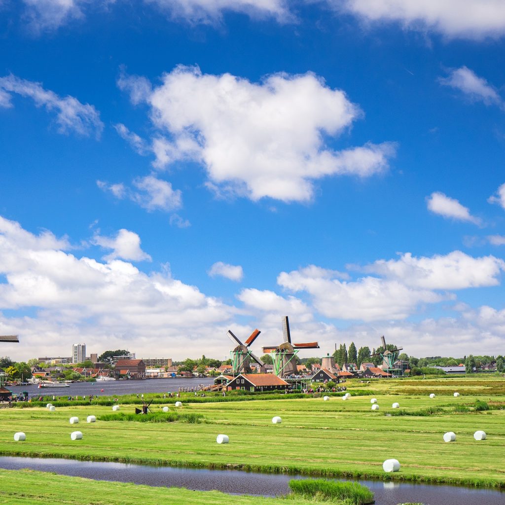 Wondering how to run an online business in the Netherlands? Tetra Consultants assist clients with the e-commerce business setup in the Netherlands. Contact us to get started in the Netherlands today.