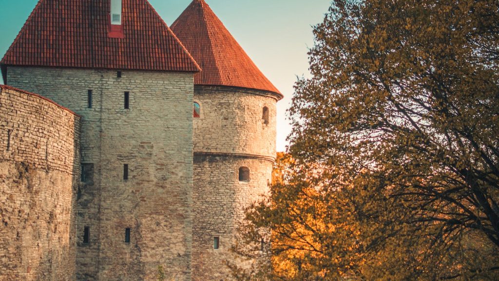 Best business opportunities in Estonia and types of business in 2024
