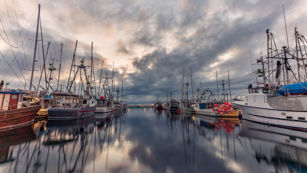 Advantage and Disadvantage of Incorporating a Company in British Columbia