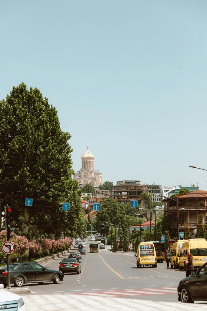 types of llc in georgia