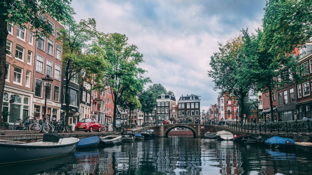 Why Set Up an Entity in the Netherlands? Strategic Advantages for Your Business 