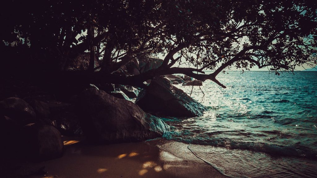 Step-by-Step Guide to Company Registration in Seychelles for Foreign Investors