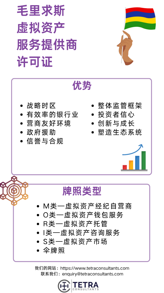 获得毛里求斯VASP许可证的优势