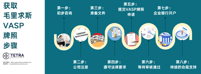 获取毛里求斯虚拟资产服务提供商 (VASP) 许可证的步骤