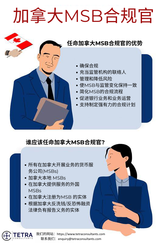 任命加拿大MSB合规官的好处