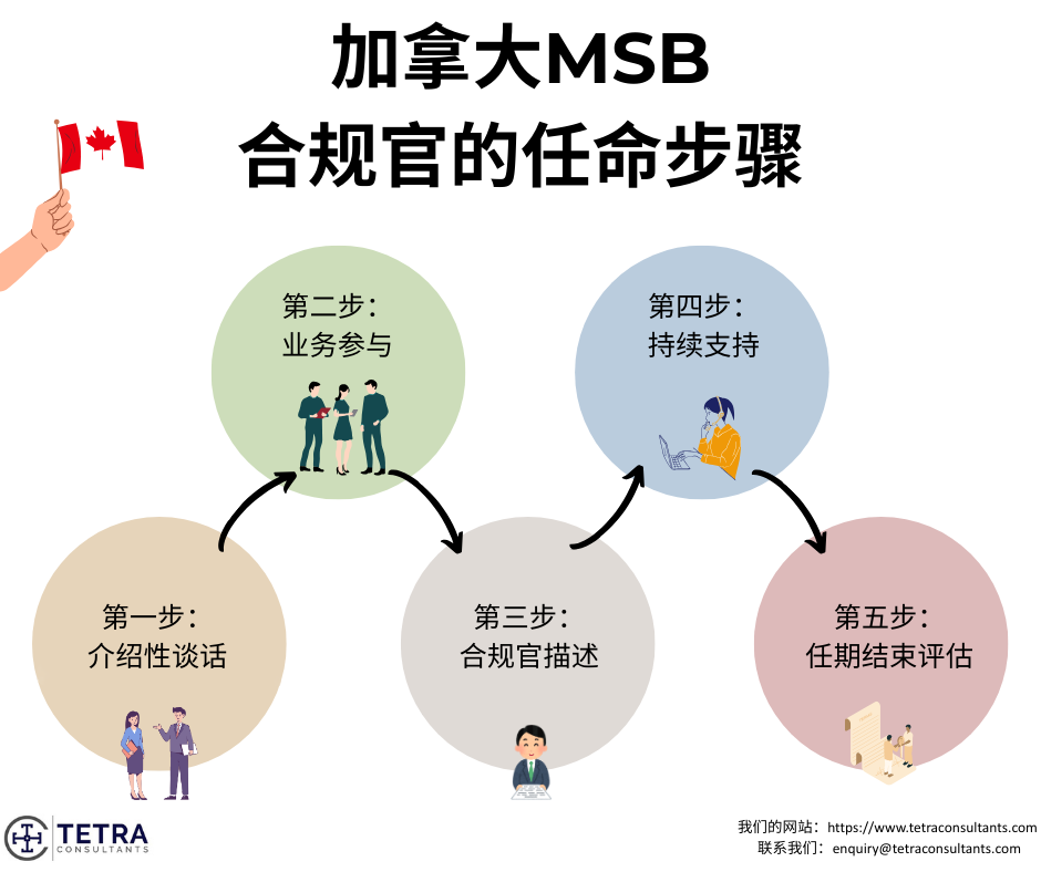 加拿大MSB合规官的任命步骤