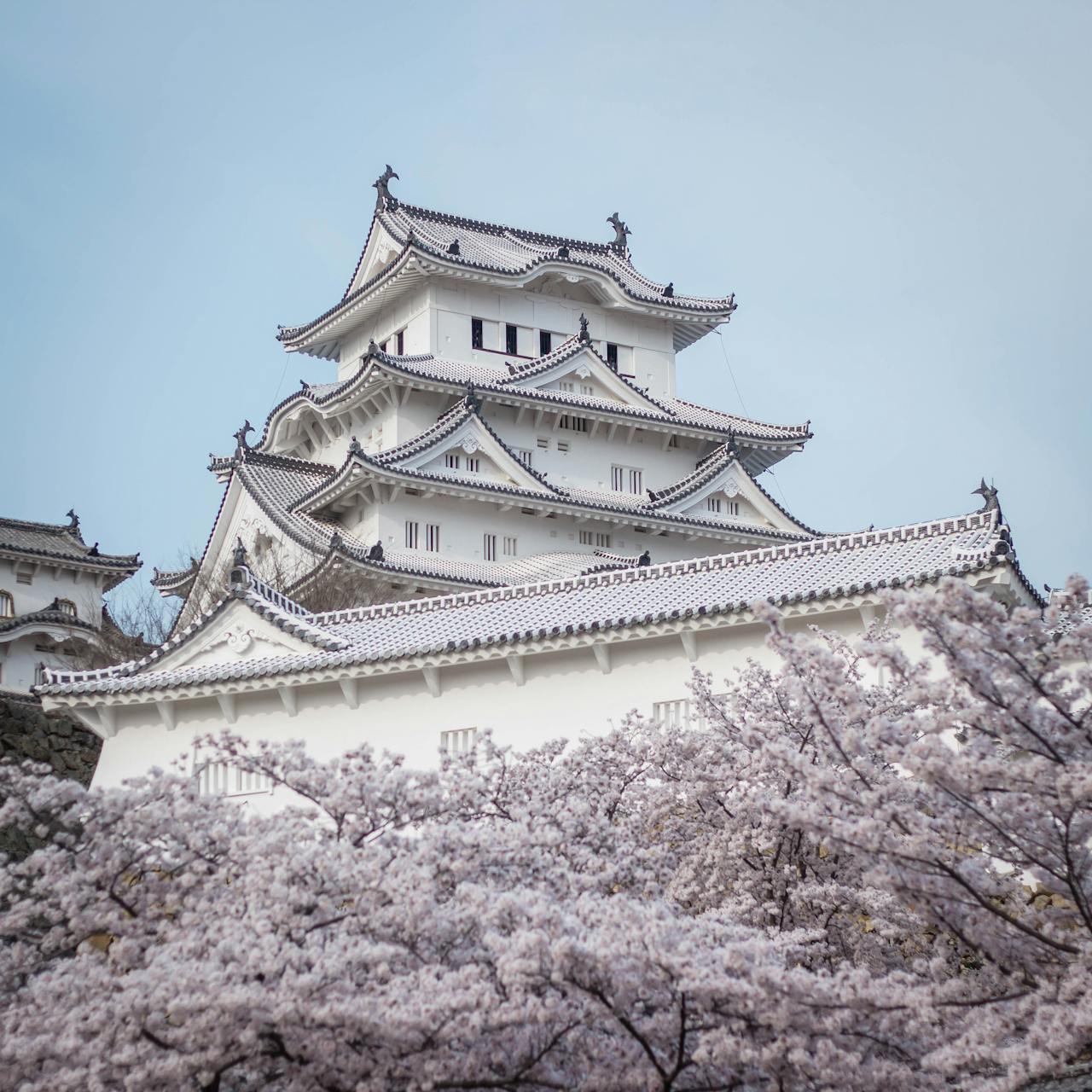 How to Start a Business in Japan as a Foreigner: A Step-by-Step Guide
