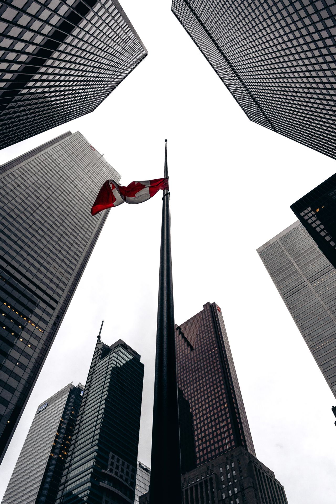 Canada MSB License Record-Keeping Requirements Every Business Should Know