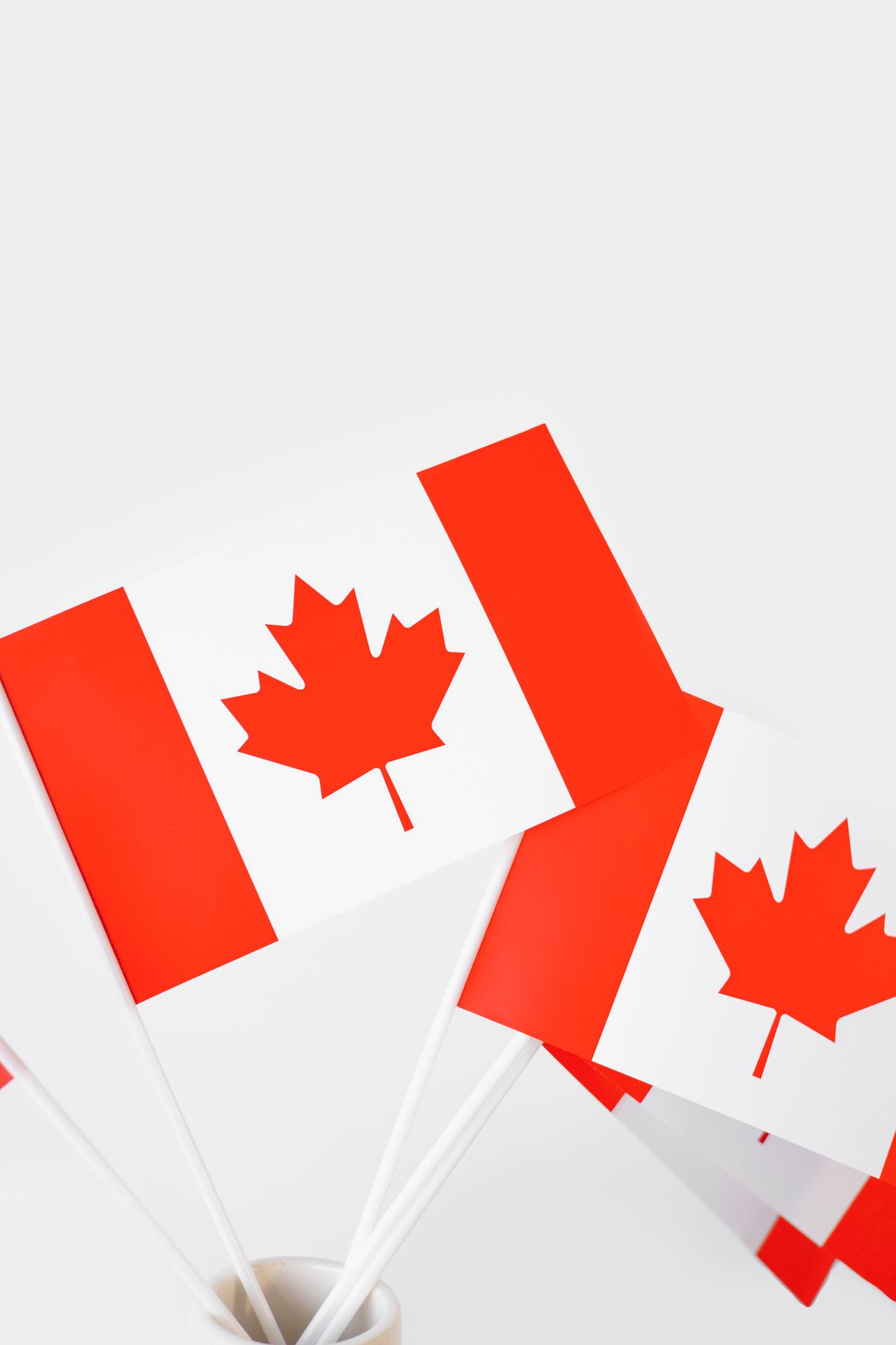 Industries That Require a Canada MSB License in 2026 